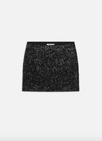 Sequin Skirt