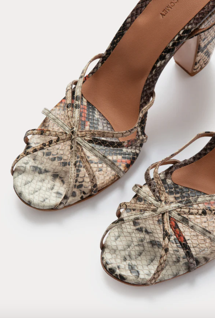 Jordan Heel - Brown Multi